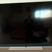 SKY GLASS TV 65 pollici bianco