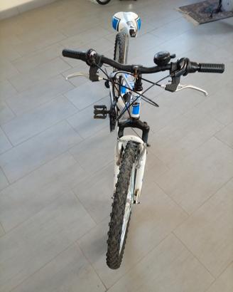 Mountain bike 24