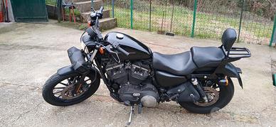 harley davidson 883 iron