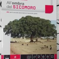 All'ombra del Sicomoro