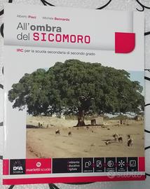 All'ombra del Sicomoro