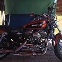 Harley Davidson Xl1200 custom