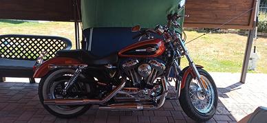 Harley Davidson Xl1200 custom