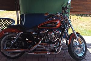 Harley Davidson Xl1200 custom