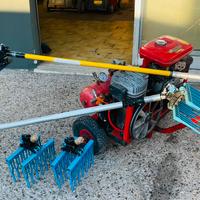 Kit  Completo per Raccolta Olive