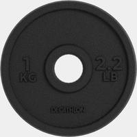 dischi di ghisa pesi diametro 28mm