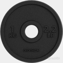 dischi di ghisa pesi diametro 28mm