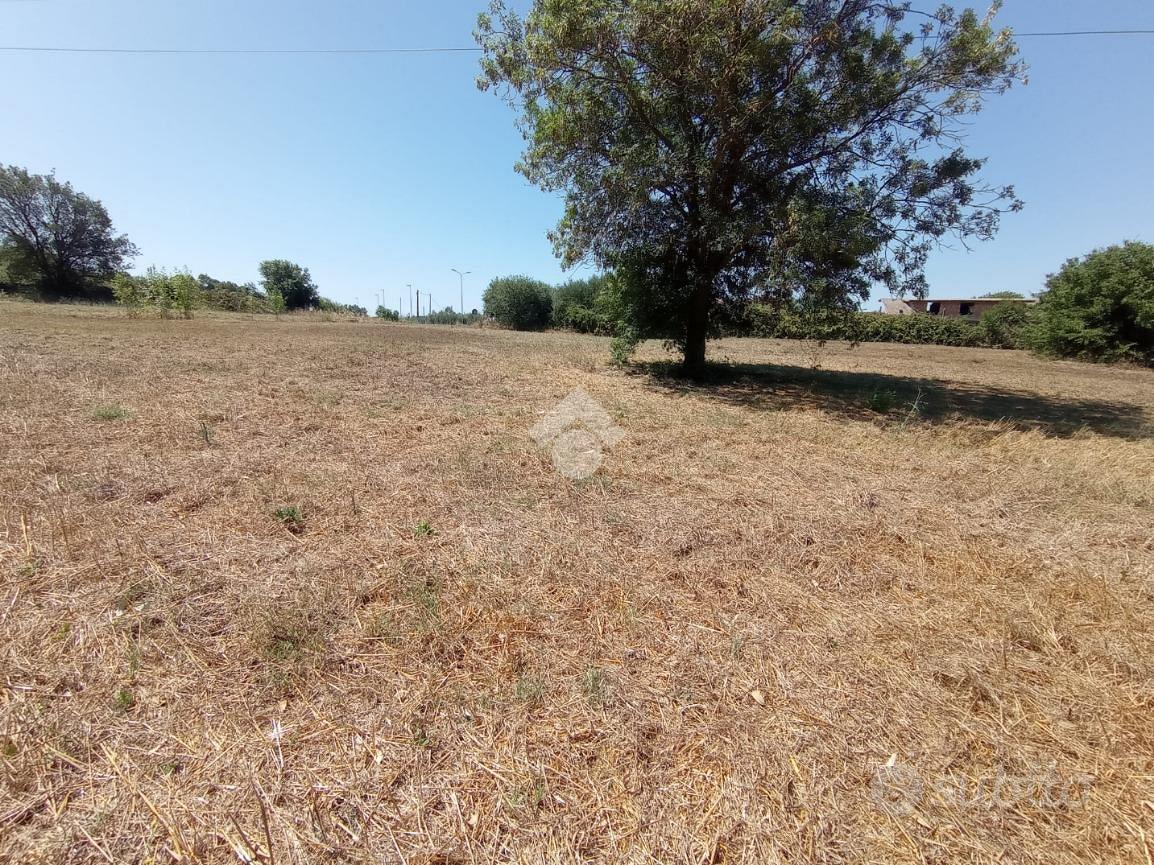 TER. AGRICOLO A POMEZIA - Vista 5