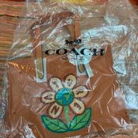 Borsa Coach