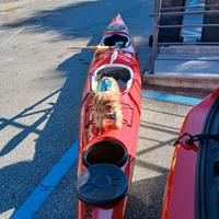 Kayak biposto in vetroresina