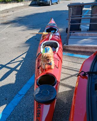 Kayak biposto in vetroresina