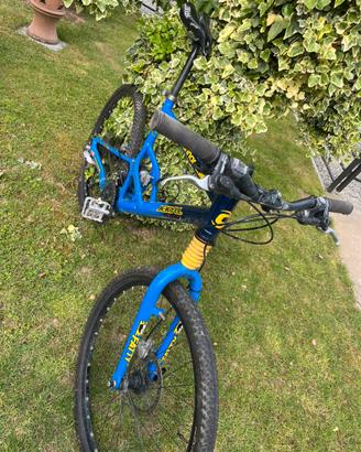 Bici mtb cannondale