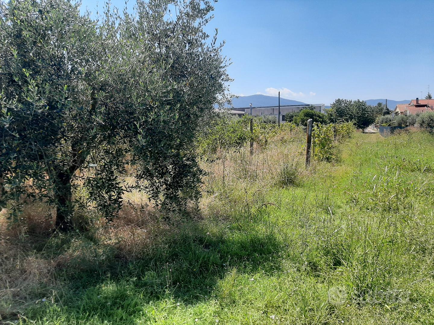 Terreno edificabile San Feliciano - Altro