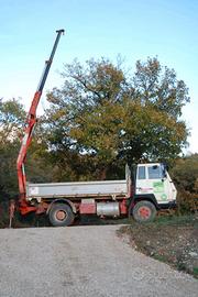 camion STEYR con gru Fassi