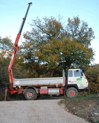 camion STEYR con gru Fassi
