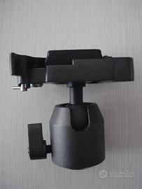 TESTA SNODATA PER CAVALLETTO