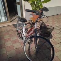bici donna