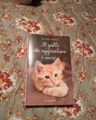 libro il gatto che aggiustava i cuori