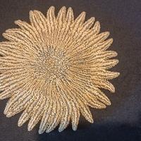 Stella Marina Heliaster Helianthus essiccata