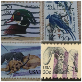 Lotto 4 Francobolli USA – Tematica Animali e Natur