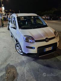 Panda hibrid ##11.000,00 € ##