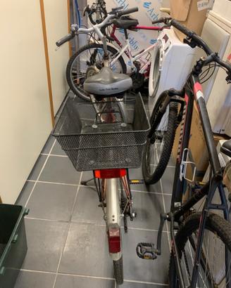 Bicicletta