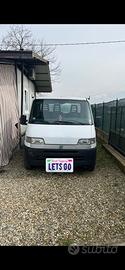 Ducato cassonato