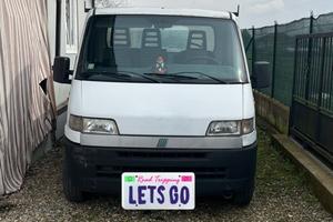 Ducato cassonato