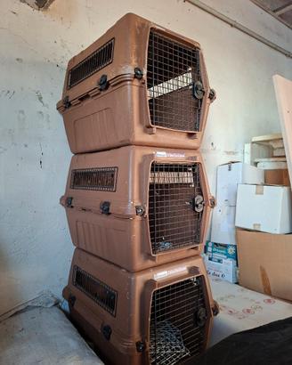 trasportini per cani