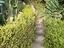 Immagine 15