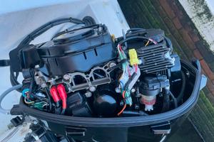 Solo motore come nuovo Mercury 10cv