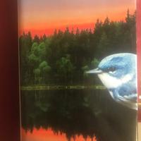 Libro Libertà di Jonathan Franzen