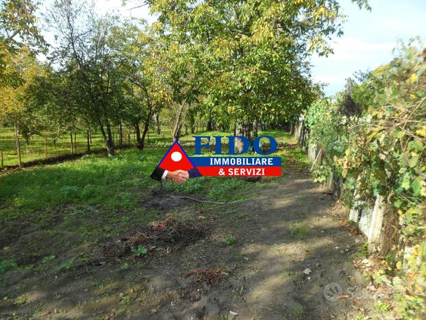 Terreno agricolo di 1.000 mq con piccolo casotto