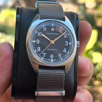 Hamilton aviation pioneer