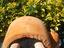 Immagine 4