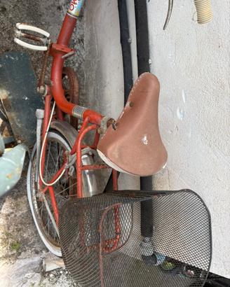 Bici pieghevole