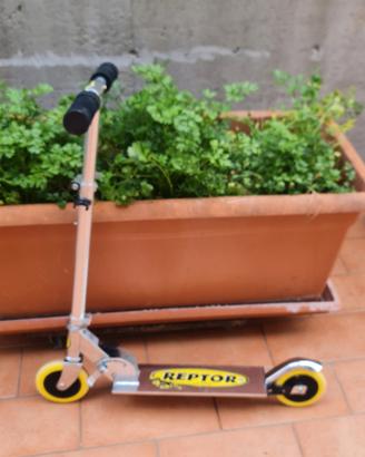 monopattino reptor
