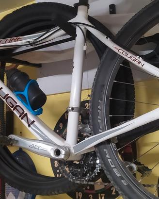 MTB leecougan