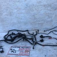 Cablaggio pegaso 650 2005 2009 N0121