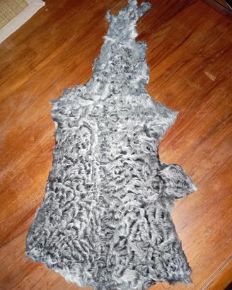 pelliccia Milano set