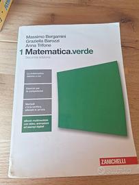 Libro Matematica verde