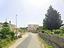 Immagine 13