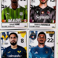 Figurine Panini 25/26