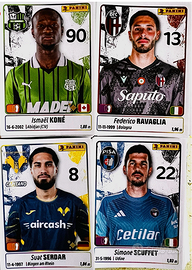 Figurine Panini 25/26