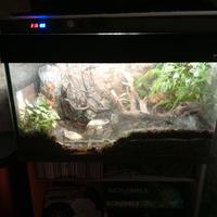 Terrario/Acquario 120 lt