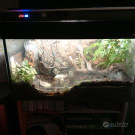 Terrario/Acquario 120 lt