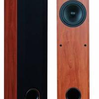 Diffusori polk audio