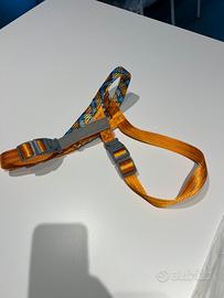 Pettorina
