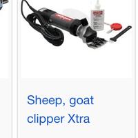 Tosatrice per pecore