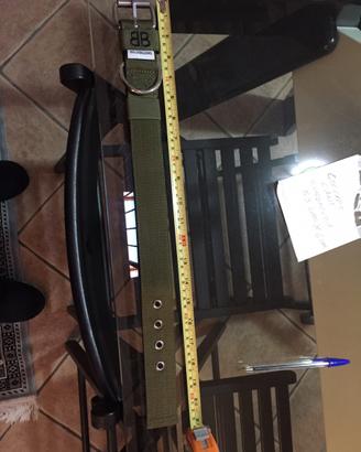 Collare cane bullybillows verde nuovo